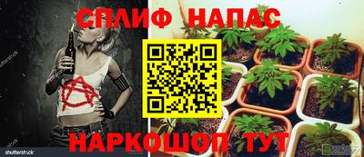 МДПВ Коммунар
