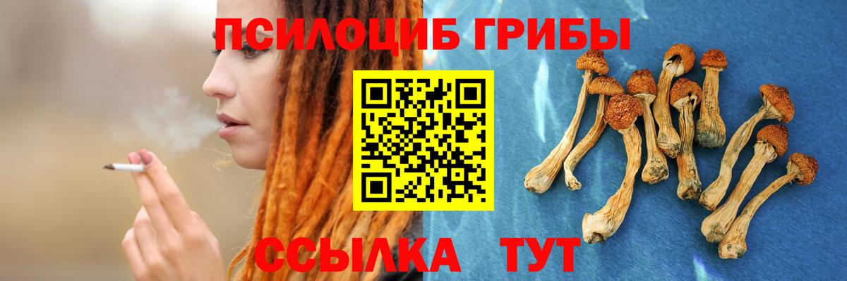 Псилоцибиновые грибы мухоморы Кемерово